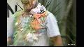 preview pic ewam.vidown.com