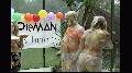 preview pic ewam.vidown.com