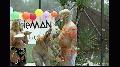 preview pic ewam.vidown.com