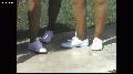 preview pic ewam.vidown.com