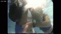 preview pic ewam.vidown.com