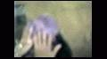 preview pic ewam.vidown.com