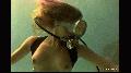 fetish preview - ewam.vidown.com