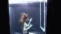 fetish preview - ewam.vidown.com