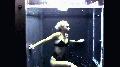 fetish preview - ewam.vidown.com